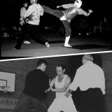 David Gaffney - NPC Nationals 1994+British Open Kung Fu Ch Push Hands Final 1997